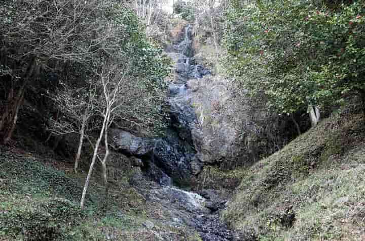 �ؒ�̑�(����)